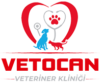 bivet